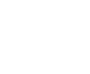 Evolution games at Wild Blaster Casino